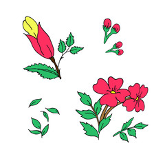 Red Flower, hand drawing, motive design, embroidery design in vector.