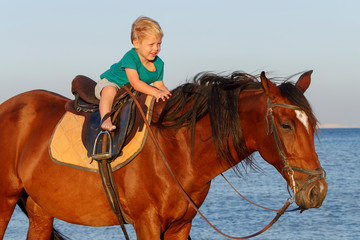 Cute little boy rides a horse on the beach. Copy space.