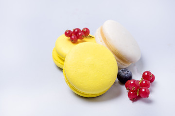 French Colorful Macarons White and Yellow Macarons on Blue Background with Fresh Red Currant Copy Space Horizontal French Dessert