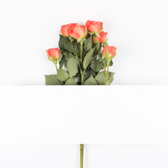 Red rose flowers on white background. Flat lay, top view. Floral background. Valentine's background.