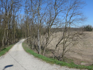 Panorami del Ticino e di Pavia (Lombardia)