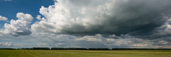 forest and wheat field and thunderclouds.  Web banner.