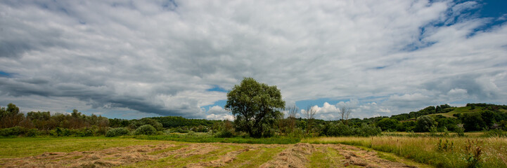 forest and field on a background of clouds. Web banner.