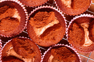 Home baked chocolate cup cakes cooling on a rack