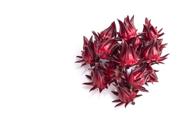 Close up fresh red Roselle studio shot isolated on white