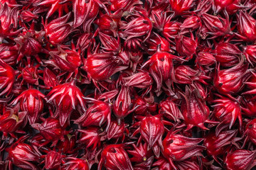 Fresh red Roselle use for herb or food concept © SKT Studio