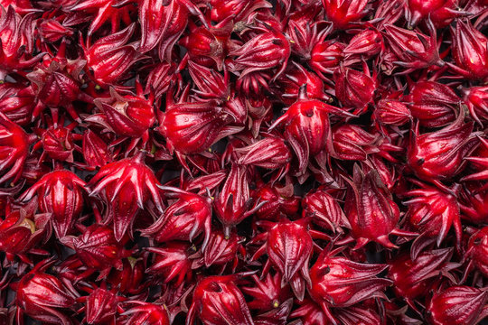 Fresh red Roselle use for herb or food concept