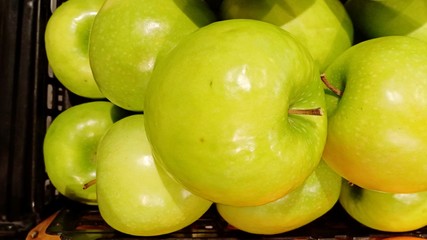 Apples volume 555556665