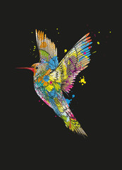 farbenfroher fliegender Kolibri auf schwarzen Grund