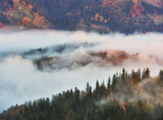 picturesque sunrise in the Carpathian mountains. autumn foggy morning
