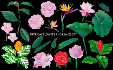 Tropical flowers and leaves set. Black background. Seamless patt