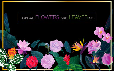 Tropical flowers and leaves set. Black background and gold frame