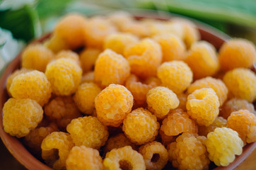  Yellow raspberries in a plate