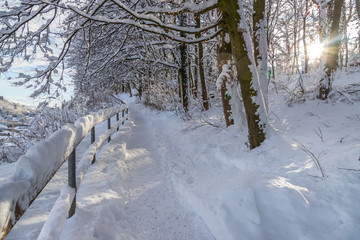 Walking promenade in Salzburg, snowy winter landscape