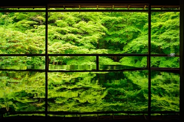 Papier Peint photo Lavable Kyoto 新緑の瑠璃光院