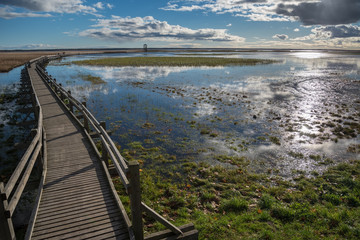Fototapeta premium Wooden path to the lake.