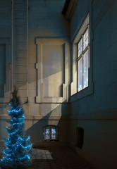 Two windows and Chistmas tree.