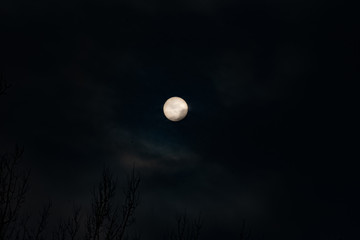 full moon in the sky