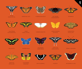US Butterfly Species Name Set 1 © bullet_chained