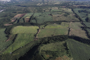 Top view of fields of various sizes and shades of green color