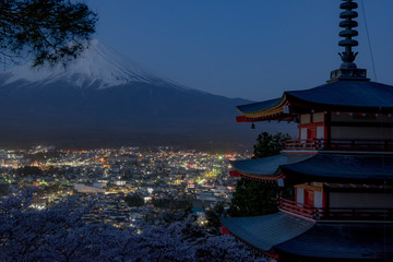 Obraz premium 山梨県・新倉山浅間公園の夜景・春