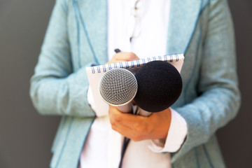 Journalist at press or news conference
