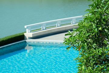 Water surface with green leaves around swimming pool, background with empty space for text.