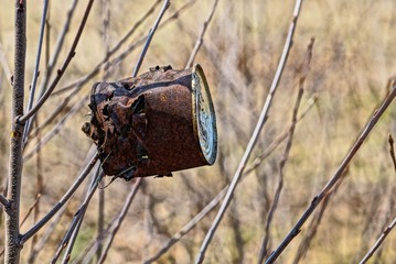 old rusty brown tin can hanging on a tree branch in the forest