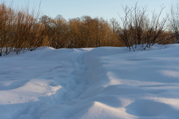 winter landscape, path in the forest