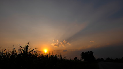 Dark silhouettes of trees and amazing cloudy sky on sunset at twilight time.