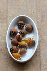 The enzymatic transformation of the medlar then transforms the pulp, canceling the strong acid and astringent flavor, making them edible and sugary
