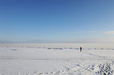 Winter snowy coastal landscape on a sunny day. Frozen river. Clear sky. Open space. The figure of single traveler