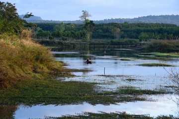 Fishermen are catching fish in thailand