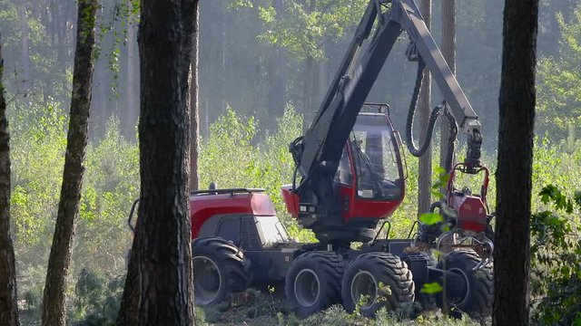 Forest Wheeled Harvester Komatsu. A cut-to-length (CTL) forest harvester. Pine Forest Harvesting Machine. Logging Equipment. The forestry industry. The harvester lumberjack working in a forest. 