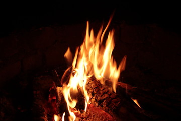 Fototapeta premium Fire logs burning outdoors in a campfire