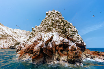 Fototapeta premium Trzy lwy morskie opalające się na wysepce wysp Ballestas (Paracas, Peru)
