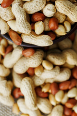 Peanuts in the shell and peeled close-up in cups. Roasted peanuts in their shells and peeled...