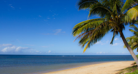 Fototapeta na wymiar Paradiesicher Strand auf Kauai, Hawaii