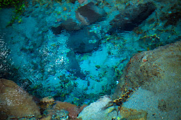 晩秋の男池湧水群