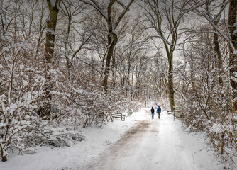 Fototapeta na wymiar Winterspaziergang eines Paares durch einen verschneiten Wald