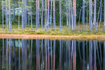 Lake in the woods in autumn with reflections