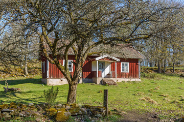 Old deserted red cottage in the countryside