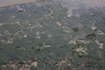 texture naturelle