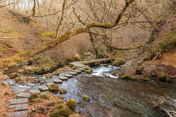 晩秋の男池湧水群