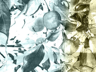 foliage