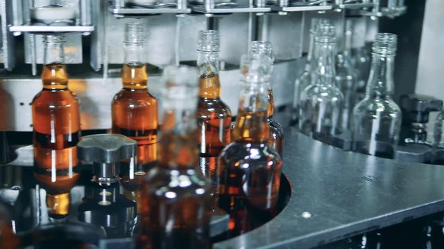 Empty and full beer bottles are moving along the industrial conveyor