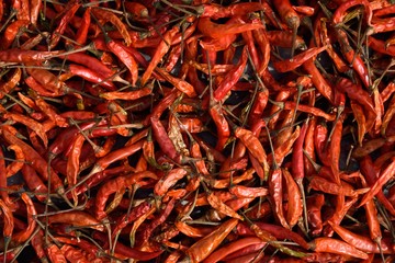 dried chillies red wall
