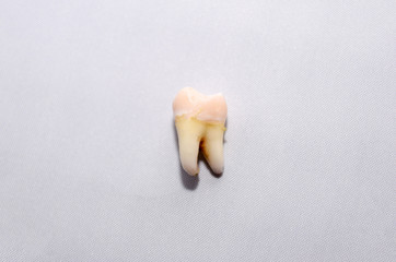Zahn, Weisheitszahn, Zahnarzt, Schmerzen, draußen, gezogen, Medizin, von oben, Blut © mkstudio001