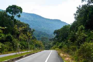 Road in Phu Quoc island, Vietnam