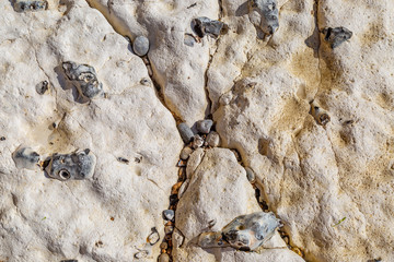 A full frame photograph of a rock formation on a Sussex beach